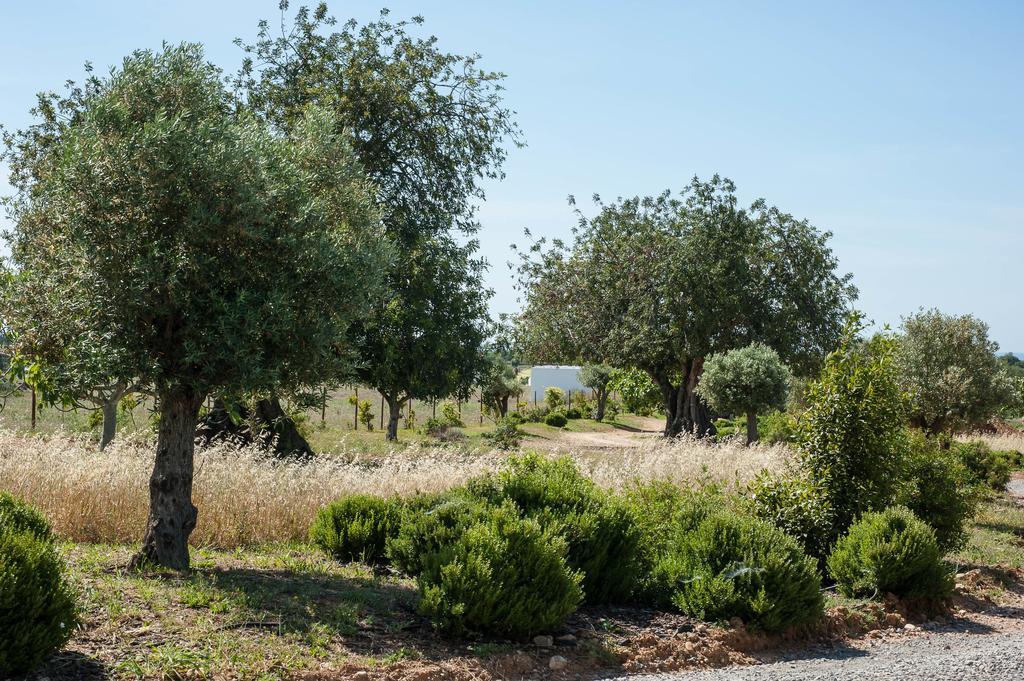 Penzion Pensao Agricola Cabanas De Tavira Exteriér fotografie